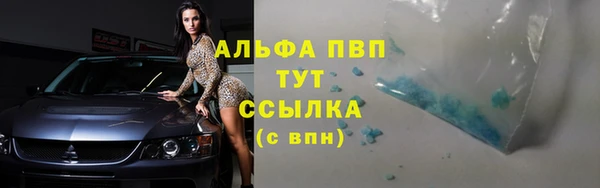 соль ск Горно-Алтайск