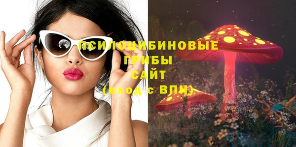 трава Горнозаводск