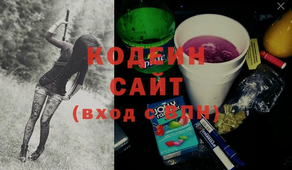 соль ск Горно-Алтайск