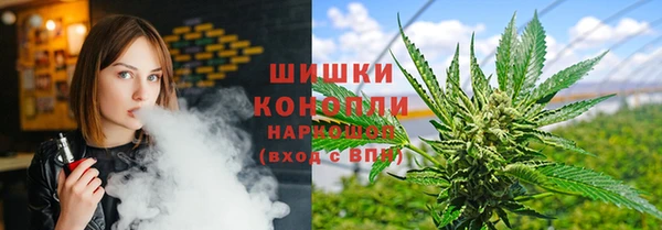 соль ск Горно-Алтайск
